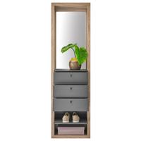 PREDSIEŇOVÝ NÁBYTOK FRAME - farba duba/antracitová, Basics, kompozitné drevo/sklo (51/178/35cm) - Carryhome