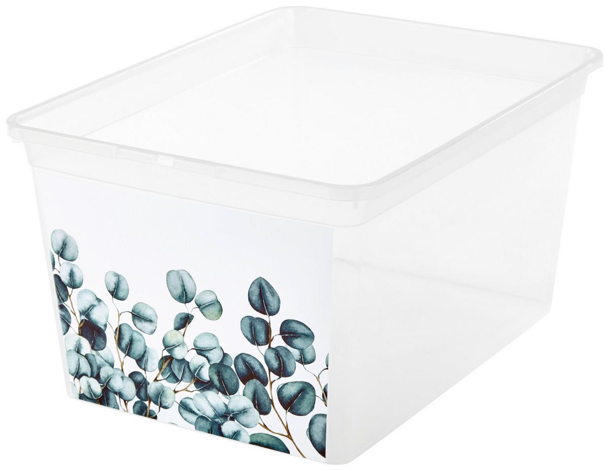 Aufbewahrungsbox Eukalyptus Mit Deckel 38,4x19,9x28,3 Cm - Klar/Anthrazit, KONVENTIONELL, Kunststoff (38,4/19,9/28,3cm)