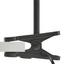 Pripínacia Lampa Goldi - Štýlový, kov/plast (12/42cm) - Mömax modern living Pripínacia Lampa Goldi - Štýlový, kov/plast (12/42cm) - Mömax modern living