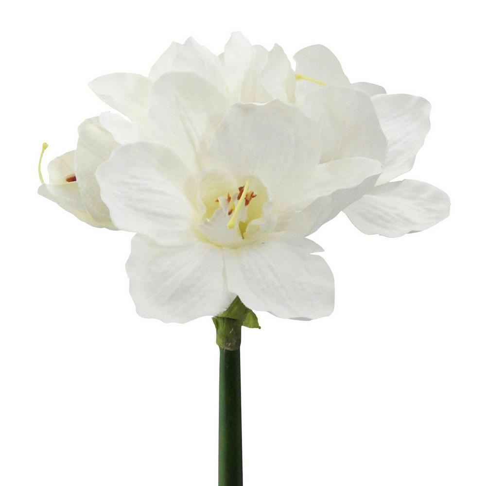 UMĚLÁ KVĚTINA AMARYLLIS I