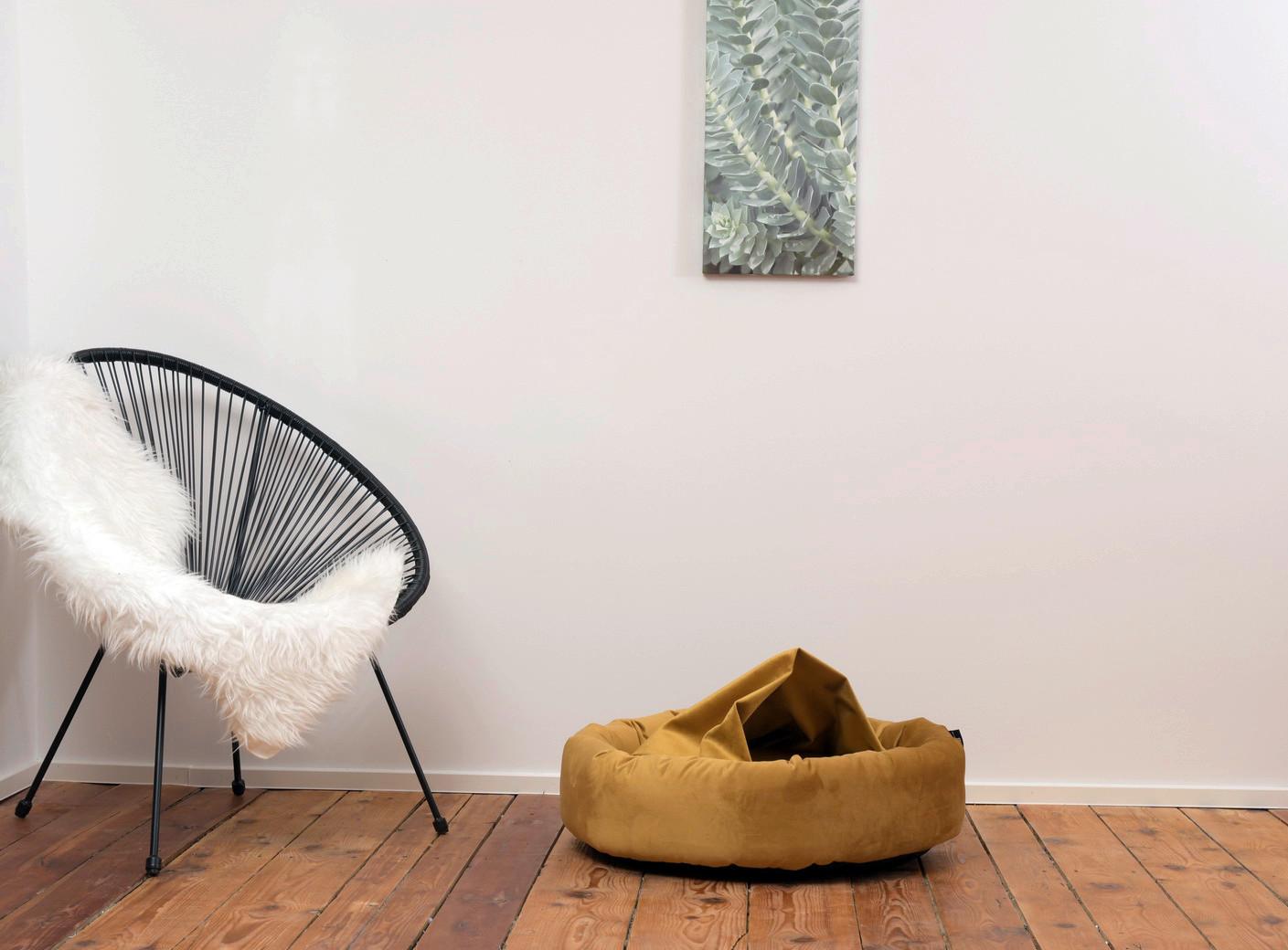 Hundebett Charly Gelb L: 50 cm - Gelb, KONVENTIONELL, Textil (50/50/15cm)