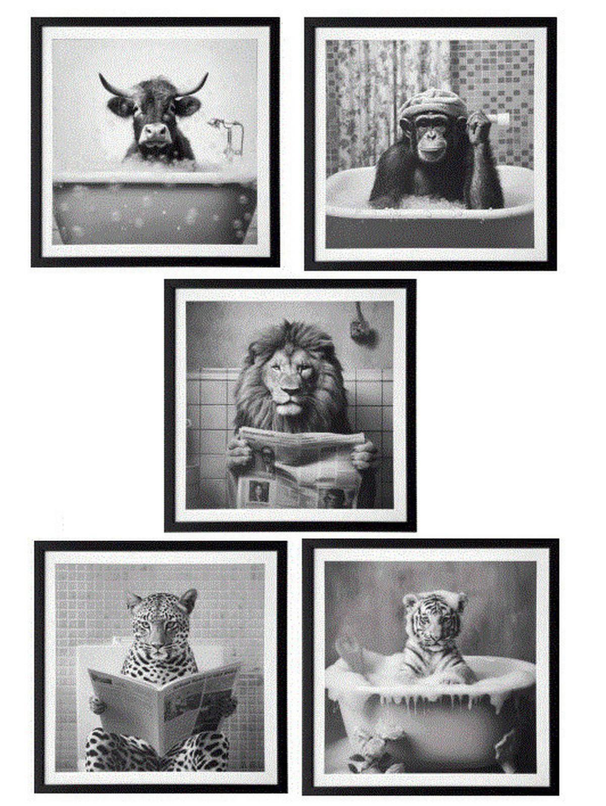 Leinwandbild Coco - Schwarz/Grau, KONVENTIONELL, Holzwerkstoff/Kunststoff (50/50/2,5cm) - Luca Bessoni