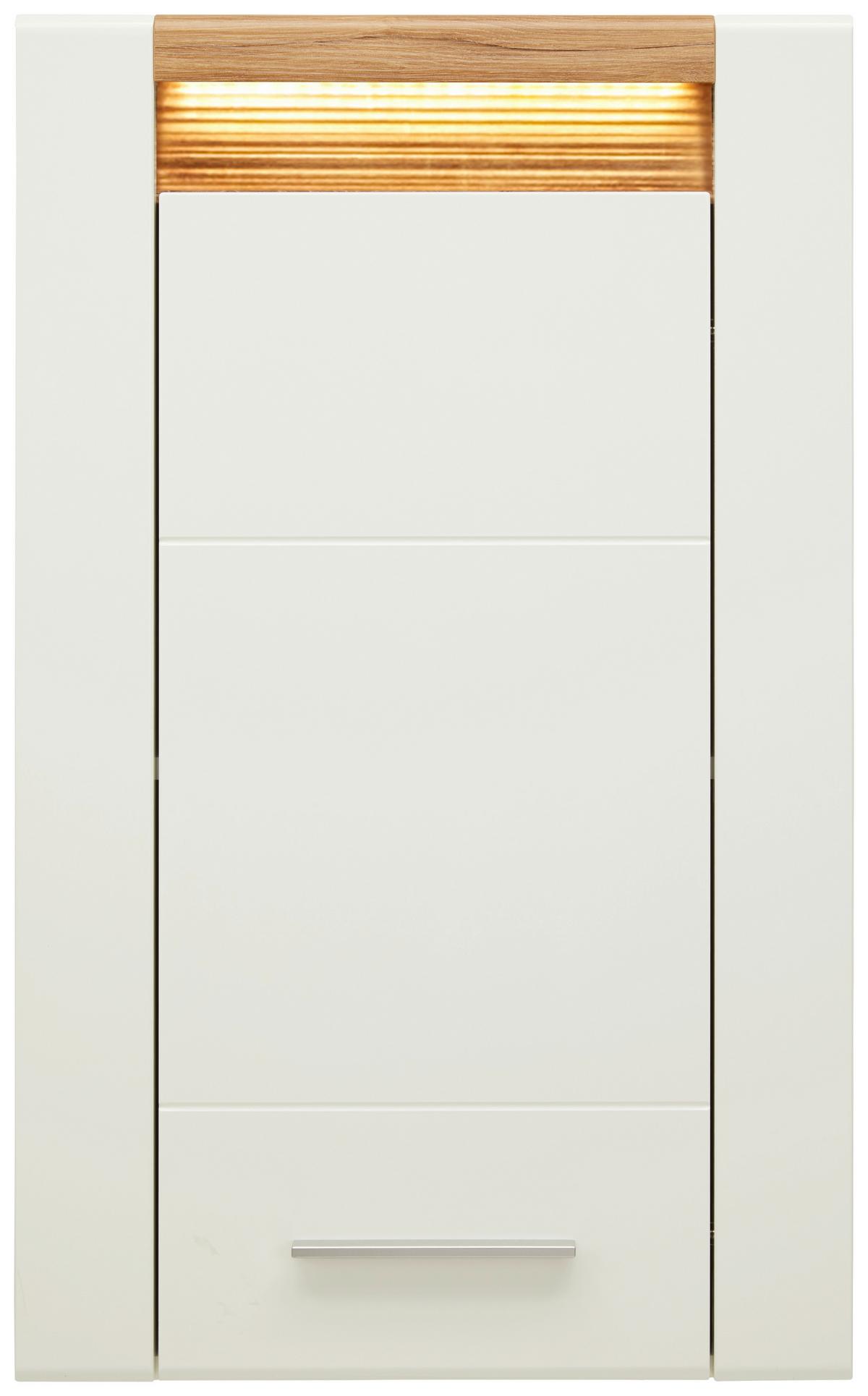 ZÁVĚSNÁ SKŘÍŇKA LEONARDO - bílá/barvy dubu, Moderní, kov/kompozitní dřevo (60/98,5/30cm) - Mömax