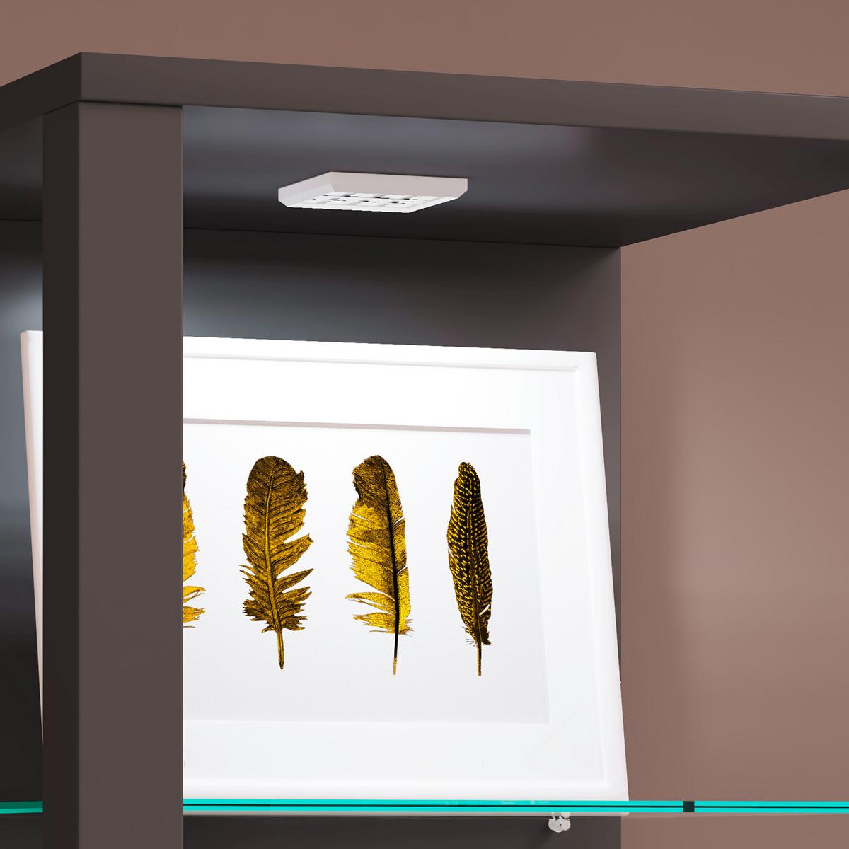 Vitrine Glasol M B: 35 cm Stehend Anthrazit - Anthrazit, MODERN, Glas/Holzwerkstoff (35/90/35cm) - MID.YOU