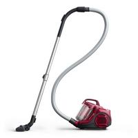 Bodenstaubsauger ohne Beutel mit Fugendüse 550 W - Rot, Basics (45,1/28,4/33,8cm) - Rowenta