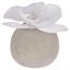 Umelá Rastlina Ines - biela, plast (9cm) Umelá Rastlina Ines - biela, plast (9cm)