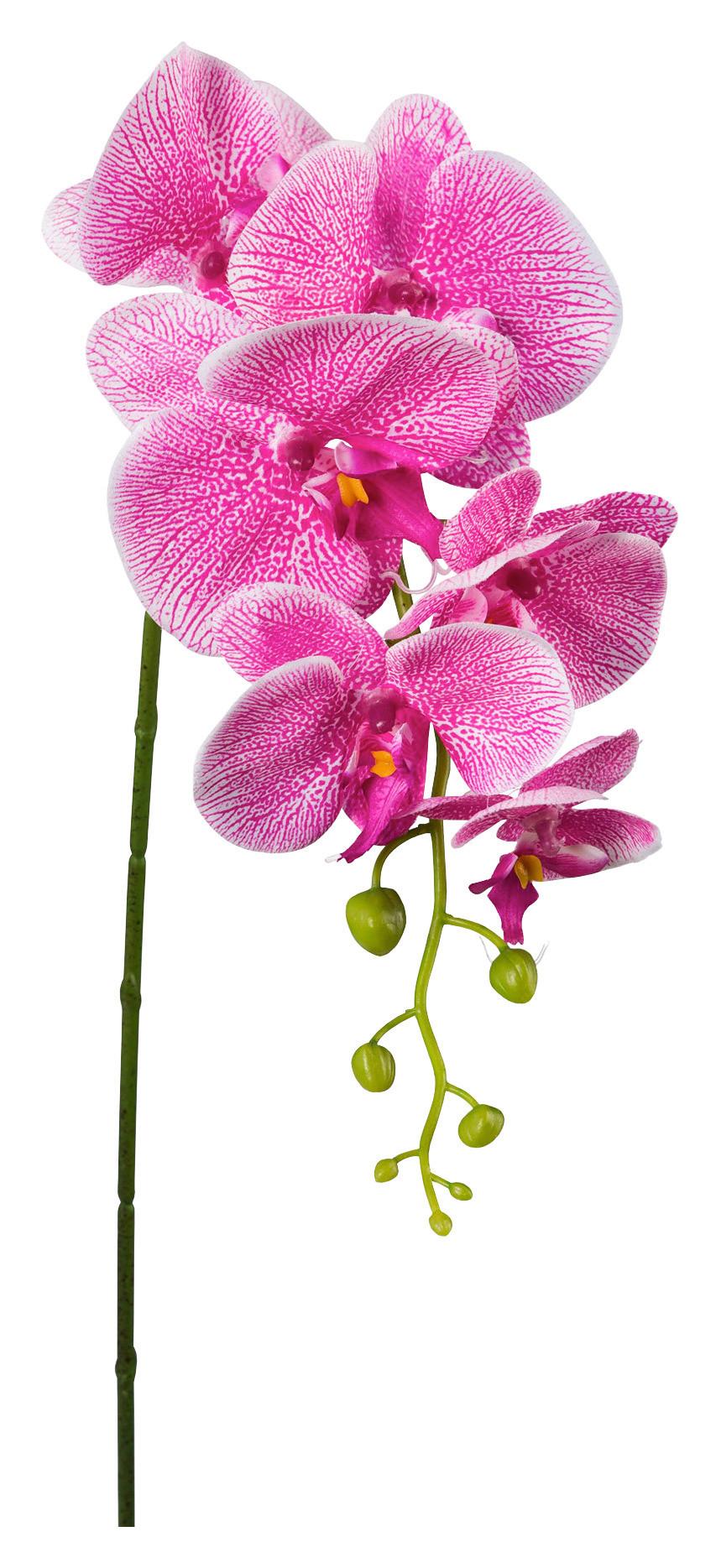 Kunstpflanze Orchidee Rosa L: 86 Cm, Ria - Pink/Grün, Natur, Kunststoff (86cm)