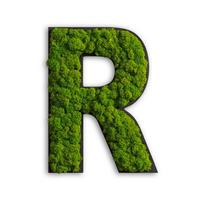 Moosbild Grün B: 25 cm - Schwarz/Grün, Basics, Naturmaterialien/Holz (25/19/4cm)