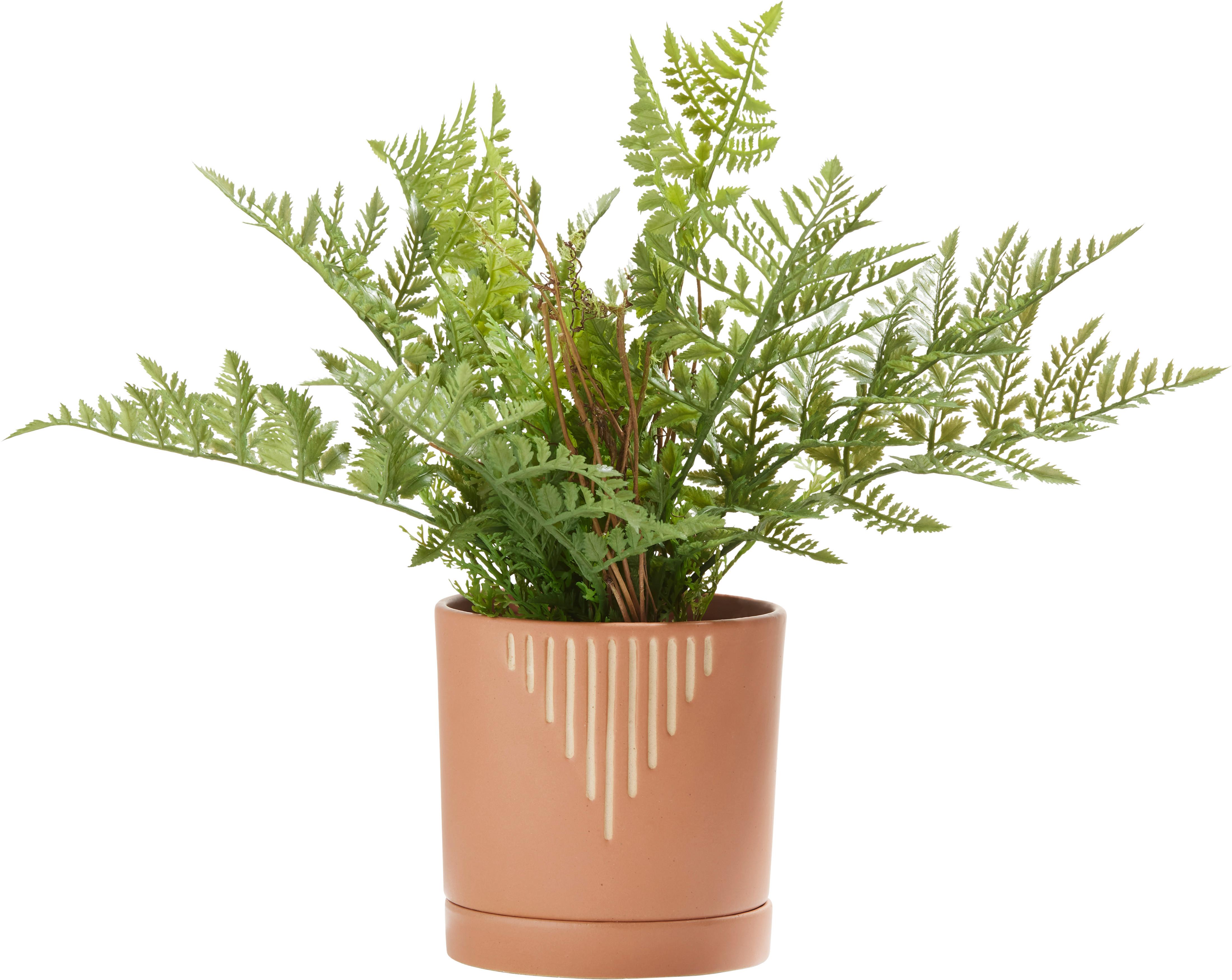 Obal na květináč Line, V: 13,9cm - terracotta/pískové barvy, keramika (13,6/13,9cm) - Modern Living