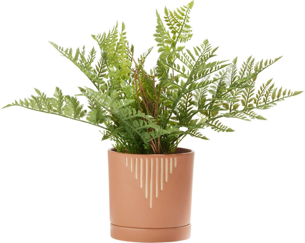 Obal na kvetináč Line, V: 13,9cm - piesková/terakotová, keramika (13,6/13,9cm) - Modern Living