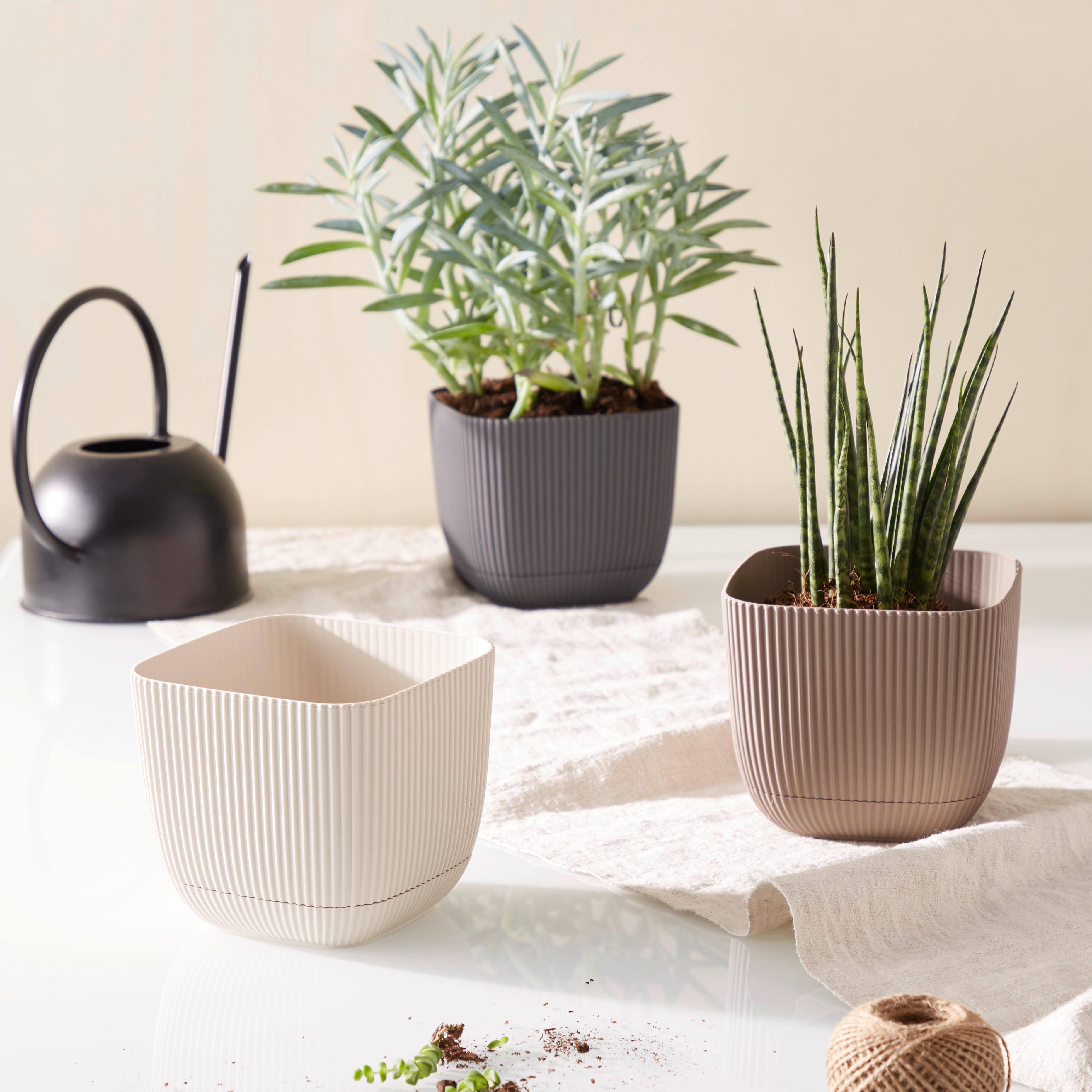 Pflanztopf Liah Kunststoff In- & Outdoor Ø 15 cm - Anthrazit/Beige, KONVENTIONELL, Kunststoff (15/15/13cm) - Luca Bessoni