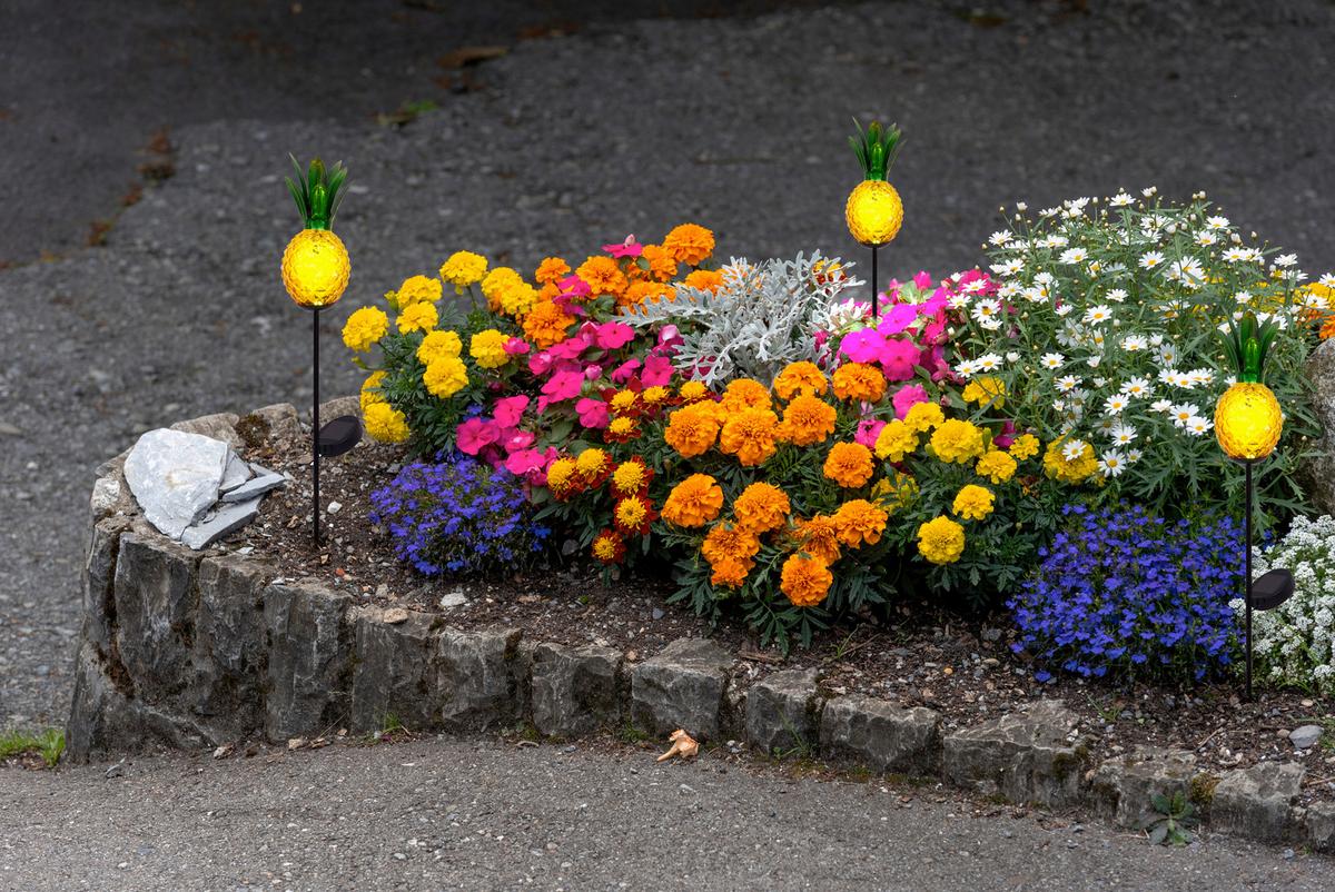 Solarleuchte Schwarz Ananas 1xled Kaltweiß H: 81cm - Schwarz/Orange, Basics, Glas/Metall (10 cm /81 cm cm) - Näve