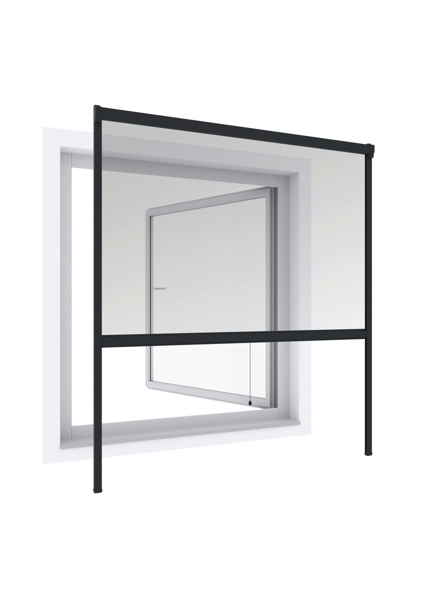 Fliegengitter Rollo 100x160 cm Anthrazit ohne Bohren - Anthrazit, Basics (100/160cm)