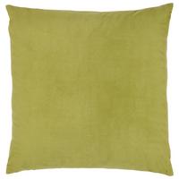DEKORAČNÝ VANKÚŠ JUNGLELIFE, 60/60 cm,zelená - zelená, Konventionell, textil (60/60cm) - Modern Living