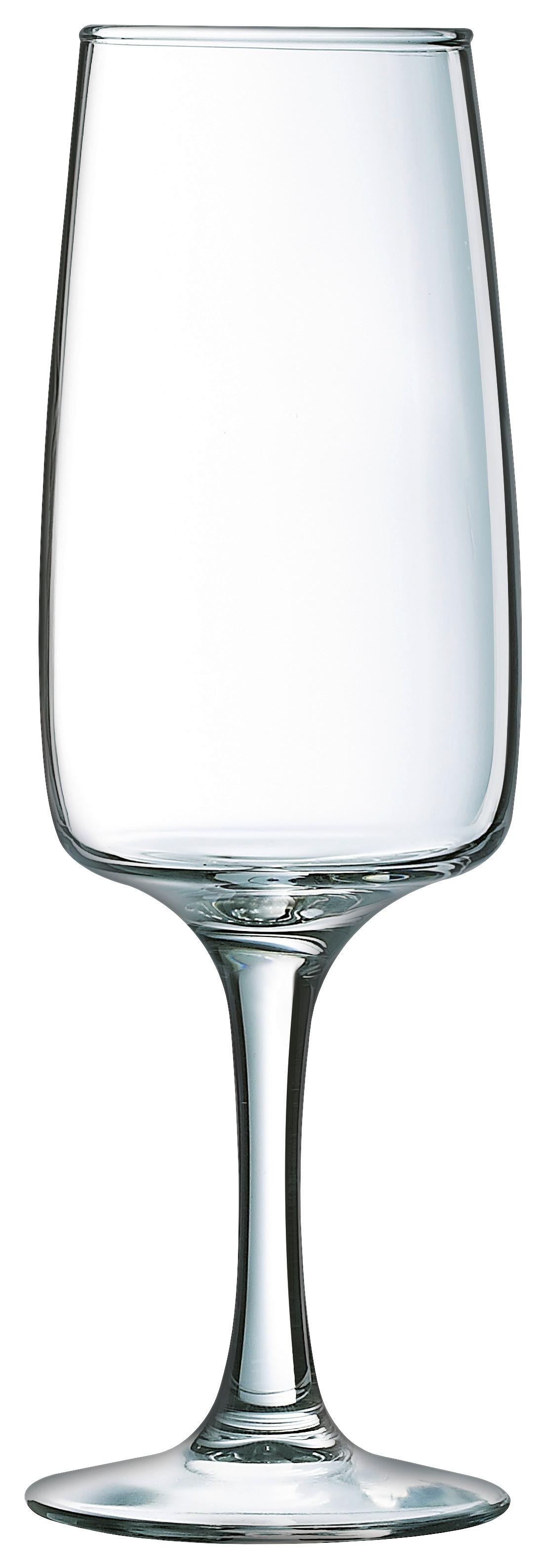 Sektglas Equip Home ca. 170 ml - Klar, KONVENTIONELL, Glas (6/17,5cm)