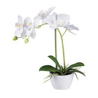 Kunstpflanze Orchideen Weiß, Topf: Weiß, H: 33 cm - Weiß/Grün, Design, Kunststoff (33cm) - P & B