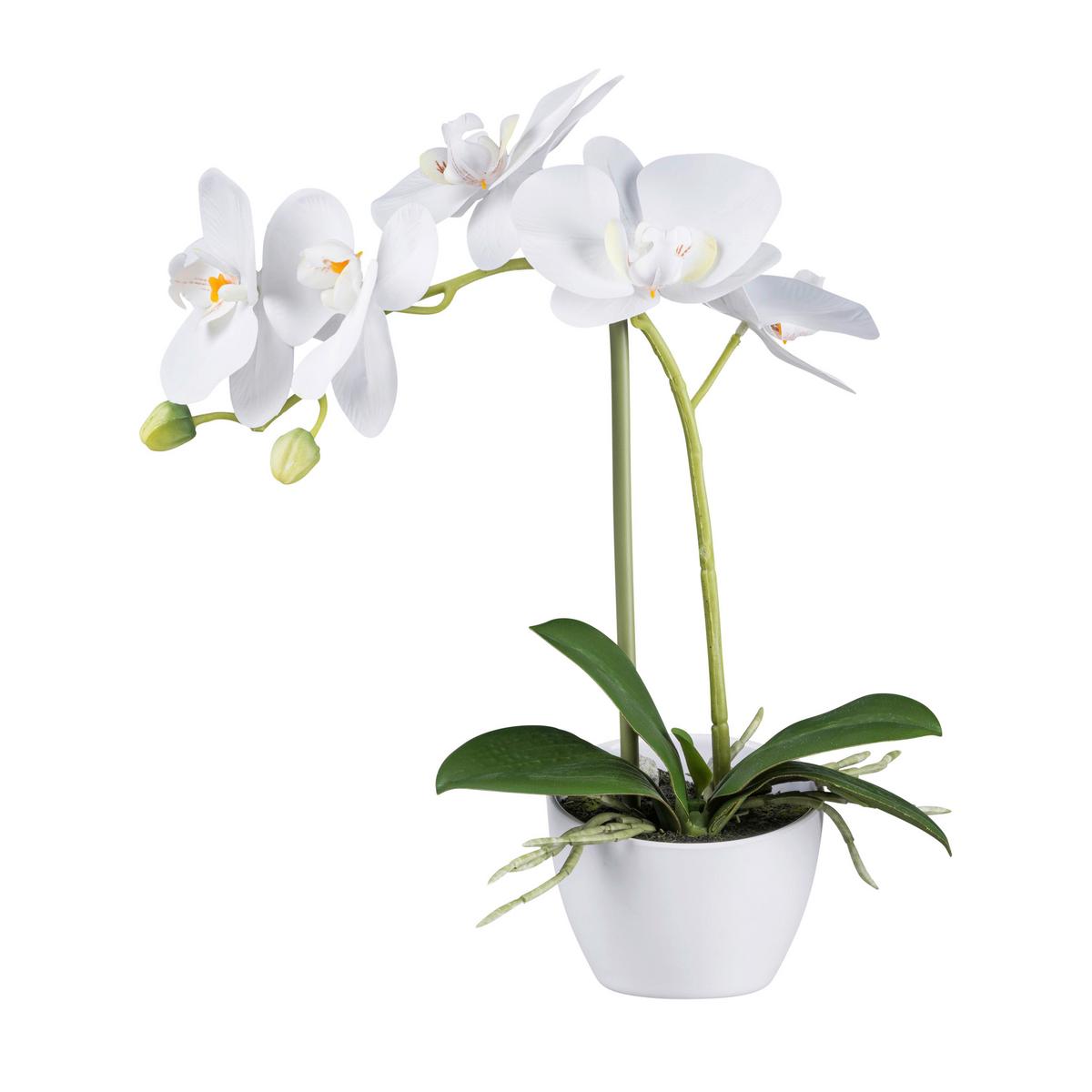 Kunstpflanze Orchideen Weiß, Topf: Weiß, H: 33 cm - Weiß/Grün, Design, Kunststoff (33cm) - P & B
