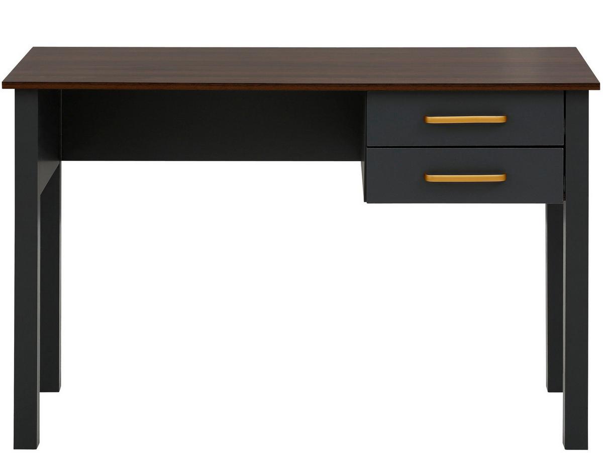 Schreibtisch Marion Grau 120 cm - Grau, Design, Holzwerkstoff (120/77/50cm) - MID.YOU