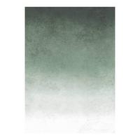 Fototapete Verblasstes Grün - Weiß/Grün, Basics, Papier/Kunststoff (200/280cm)