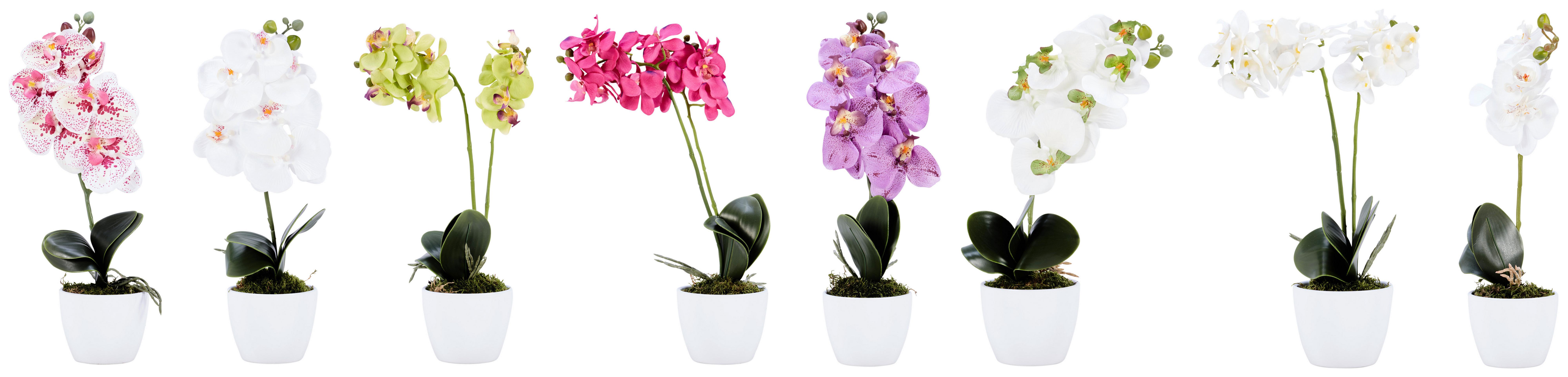 Kunstpflanze Orchidee Bunt H: 40 cm Im Topf, Sofie - Lila/Weiß, KONVENTIONELL, Keramik/Kunststoff (40cm)