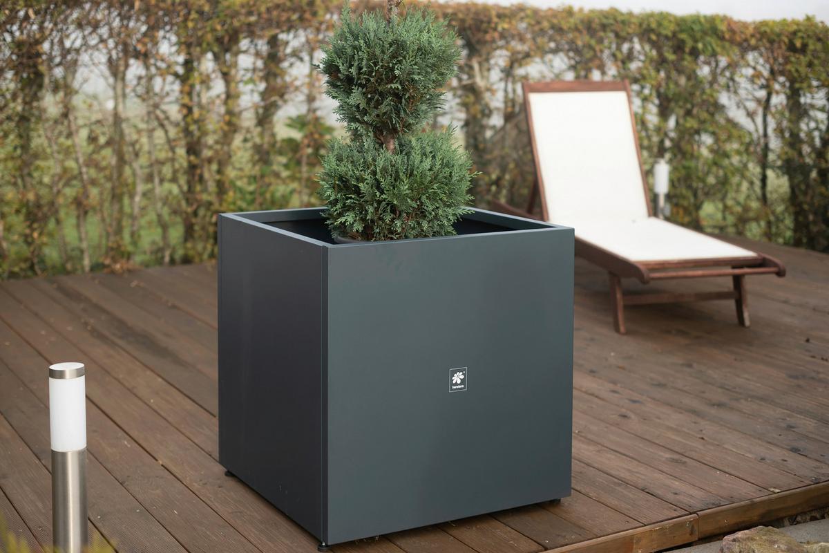 Pflanzentopf Pflanzkasten 70x70x70 - Anthrazit, Basics, Metall (70/70/70cm)