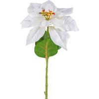 Kunstpflanze Poinsettia - Weiß/Grün, KONVENTIONELL, Kunststoff (60cm)