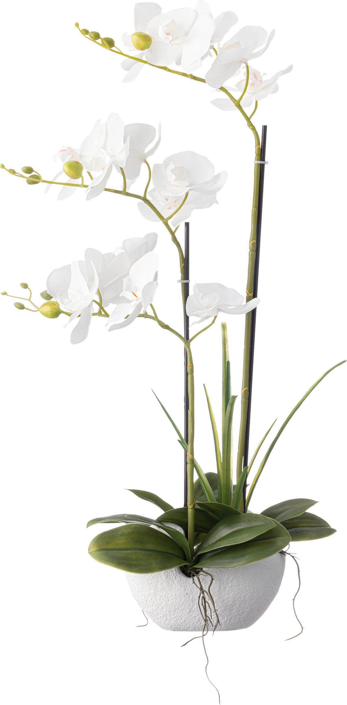 Orchidee Merve - Weiß/Grün, KONVENTIONELL, Kunststoff/Textil (30/25/57cm) - Luca Bessoni