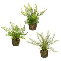 Dekoračná rastlina Farn, V: 40cm - zelená, Basics, plast (22cm) - Modern Living