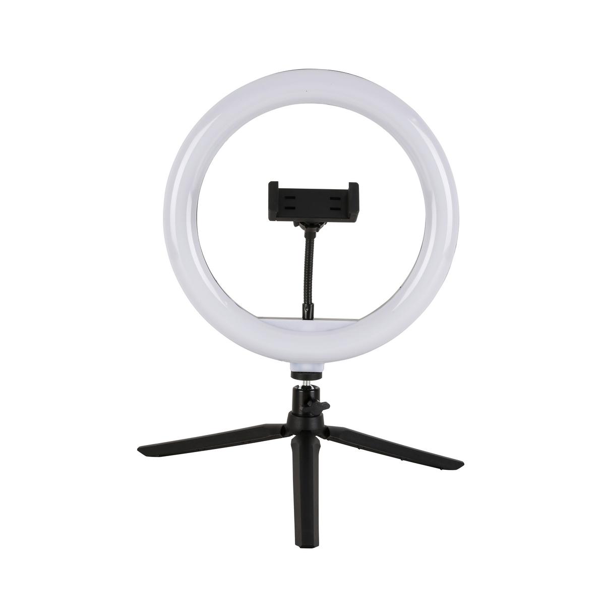 Dekoračné svietidlo Tofo, P/V: ca 26/40cm, čierna - čierna, Modern, kov/plast (24,5/38cm) - Mömax