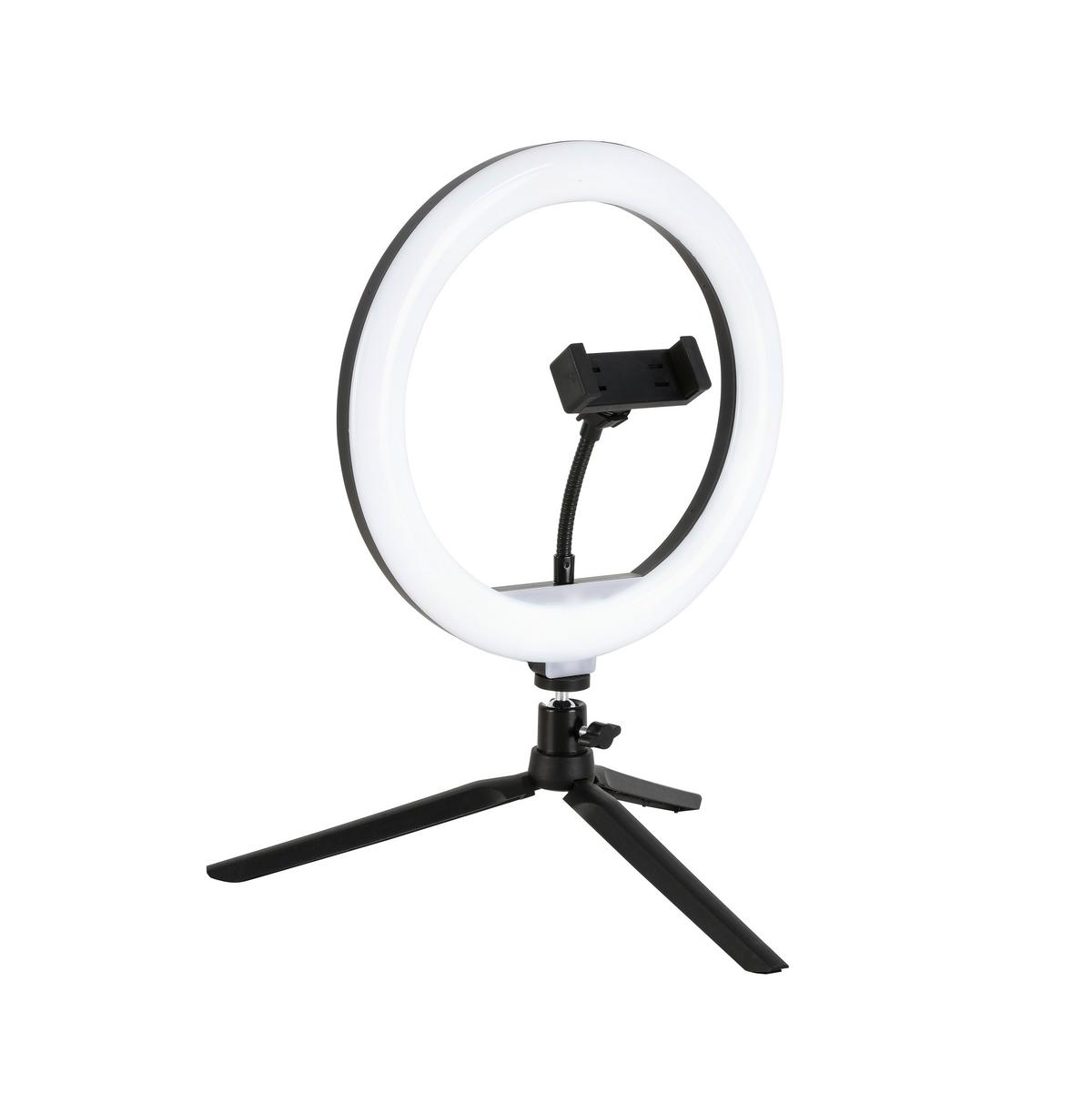 Dekoračné svietidlo Tofo, P/V: ca 26/40cm, čierna - čierna, Modern, kov/plast (24,5/38cm) - Mömax