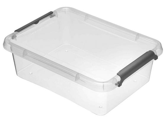 Box mit Deckel Lara - Transparent, Basics, Kunststoff (19,5/15/6cm) - Homezone Box mit Deckel Lara - Transparent, Basics, Kunststoff (19,5/15/6cm) - Homezone