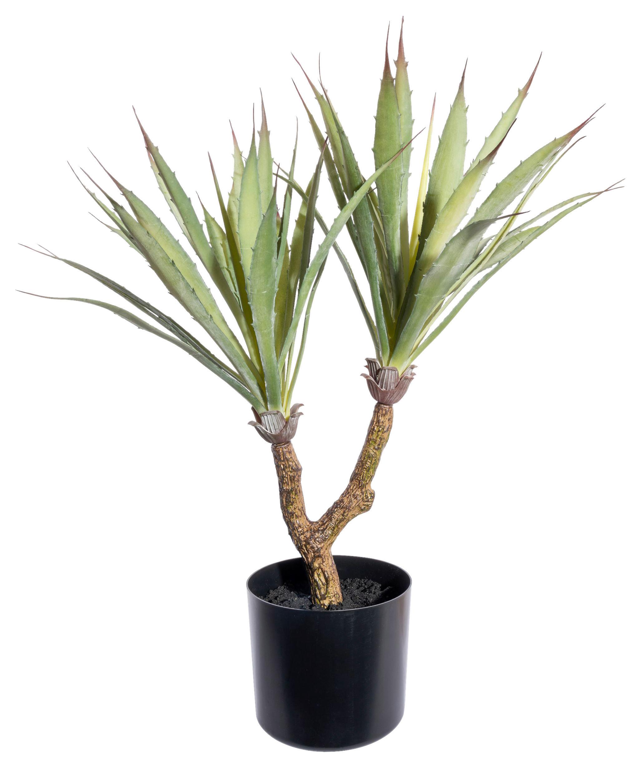 Kunstpflanze Sukkuleten Grün/Schwarz, 60 cm - Schwarz/Braun, Design, Kunststoff (60cm)