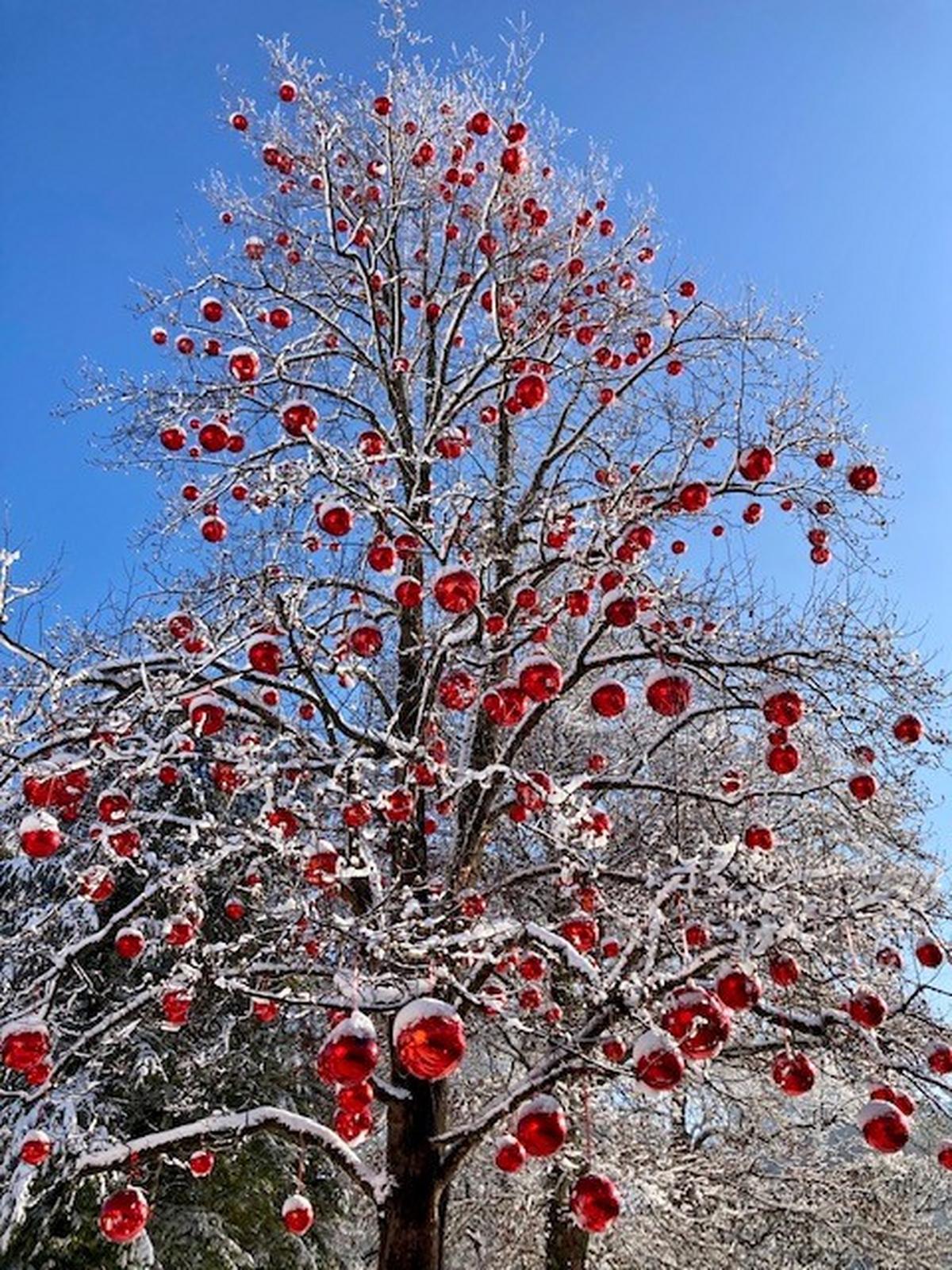 Strahler 91-66329 - Schwarz, KONVENTIONELL, Metall (11/13/17cm)