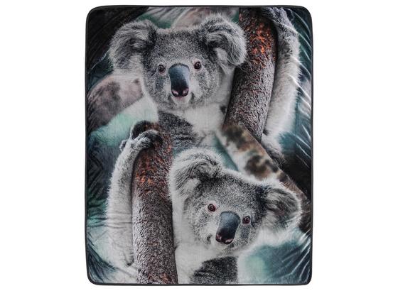 Kuscheldecke Koala - Grau, Textil (130/160cm) Kuscheldecke Koala - Grau, Textil (130/160cm)