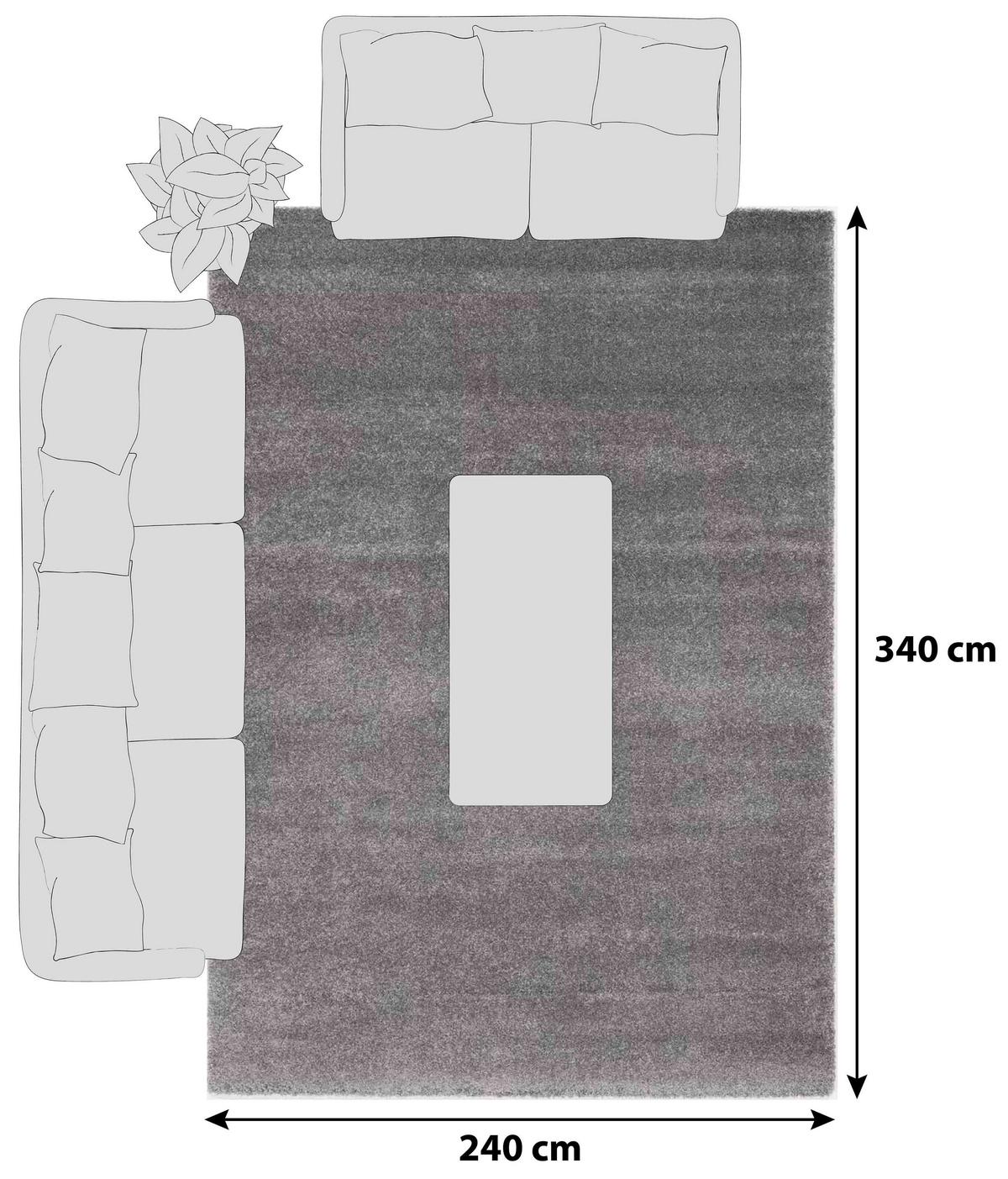 Hochflorteppich Bellevue Grau 240x340 cm - Grau, Basics, Textil (240/340cm) - Novel
