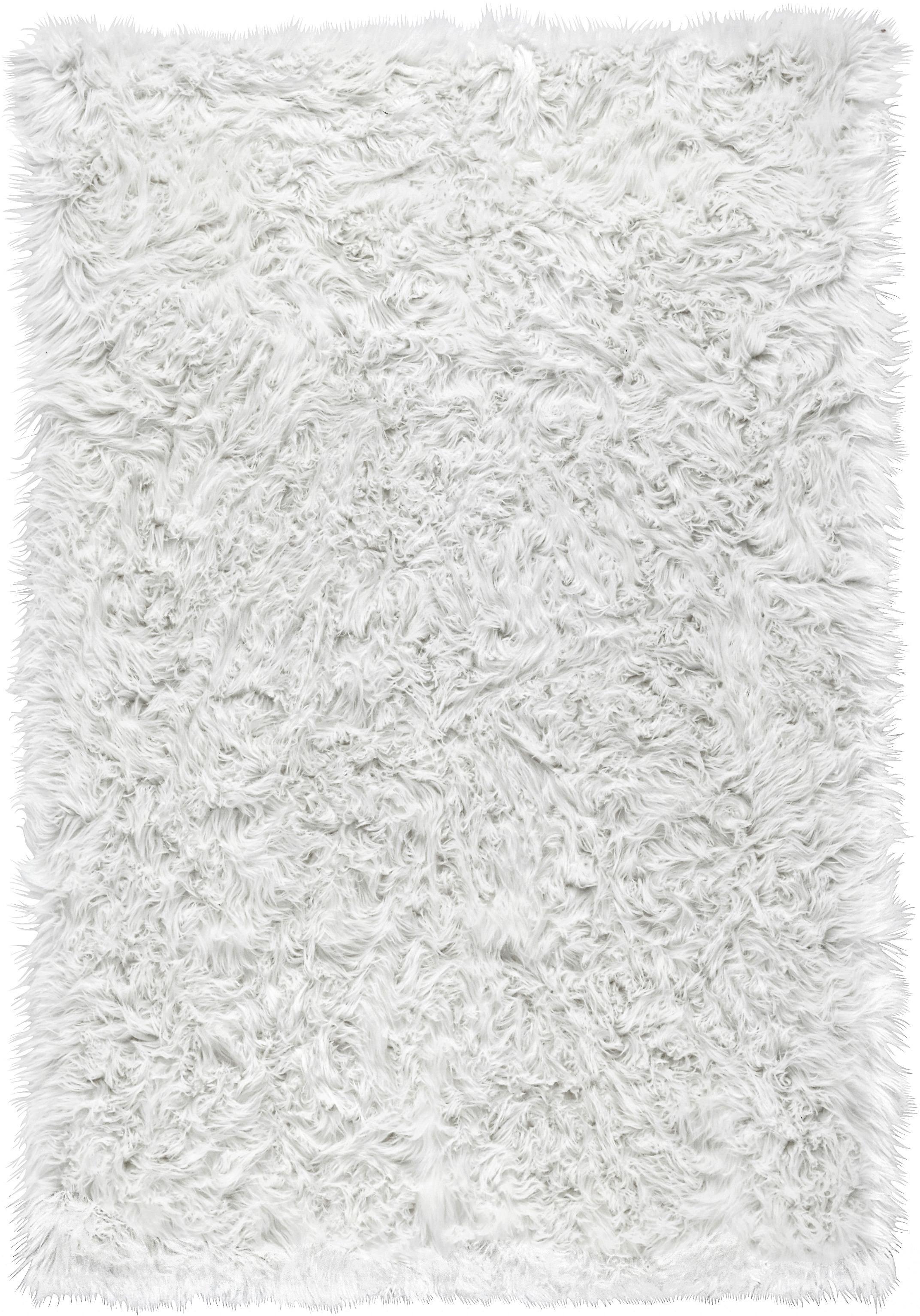 Umělá Kožešina Teddy 2, 100/150cm, Bílá - bílá, Romantický / Rustikální, plast (100/150cm) - Modern Living