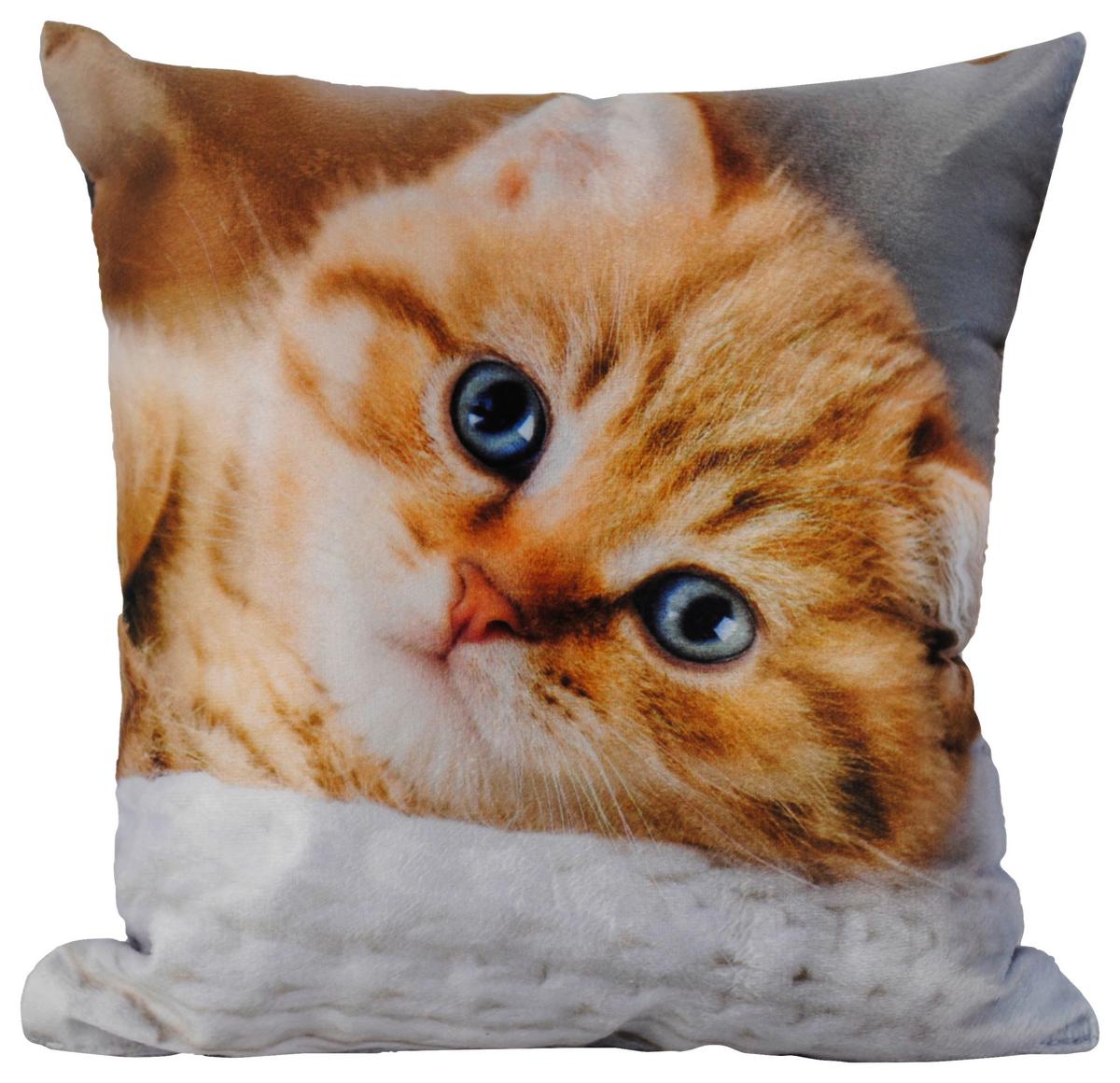 Zierkissen Xenia 25x25 Cm Samtoptik Tiermotive - Multicolor, KONVENTIONELL, Textil (25/25cm) - Ondega