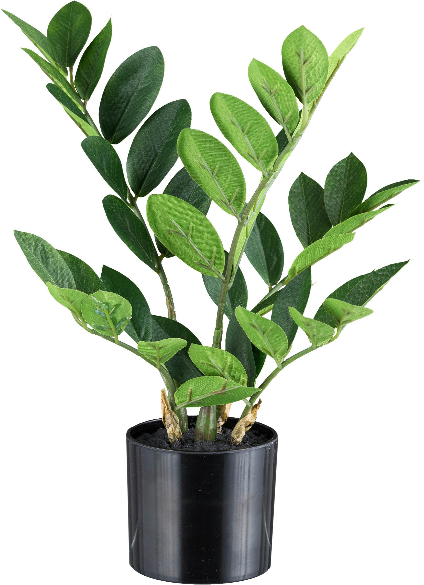 Kunstpflanze H: 36 cm - Schwarz/Braun, Design, Kunststoff (36cm) - P & B