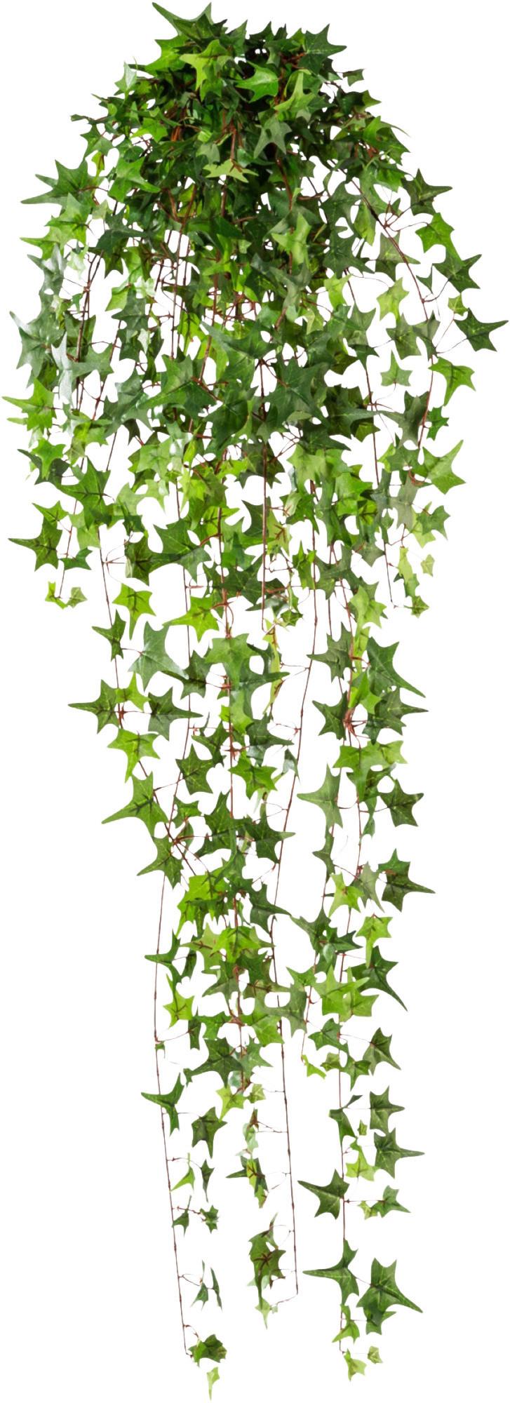 Kunstpflanze Hängepflanze Grün, 115 cm - Grün, Design, Kunststoff (115cm) - P & B