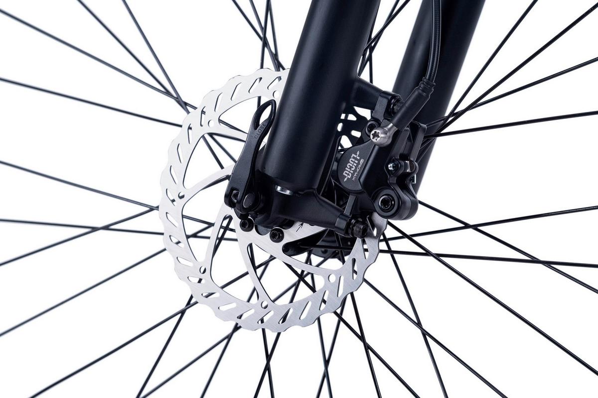Elektrofahrrad 29 Zoll, 120 Km - Blau, Basics, Metall (180/70/100cm)
