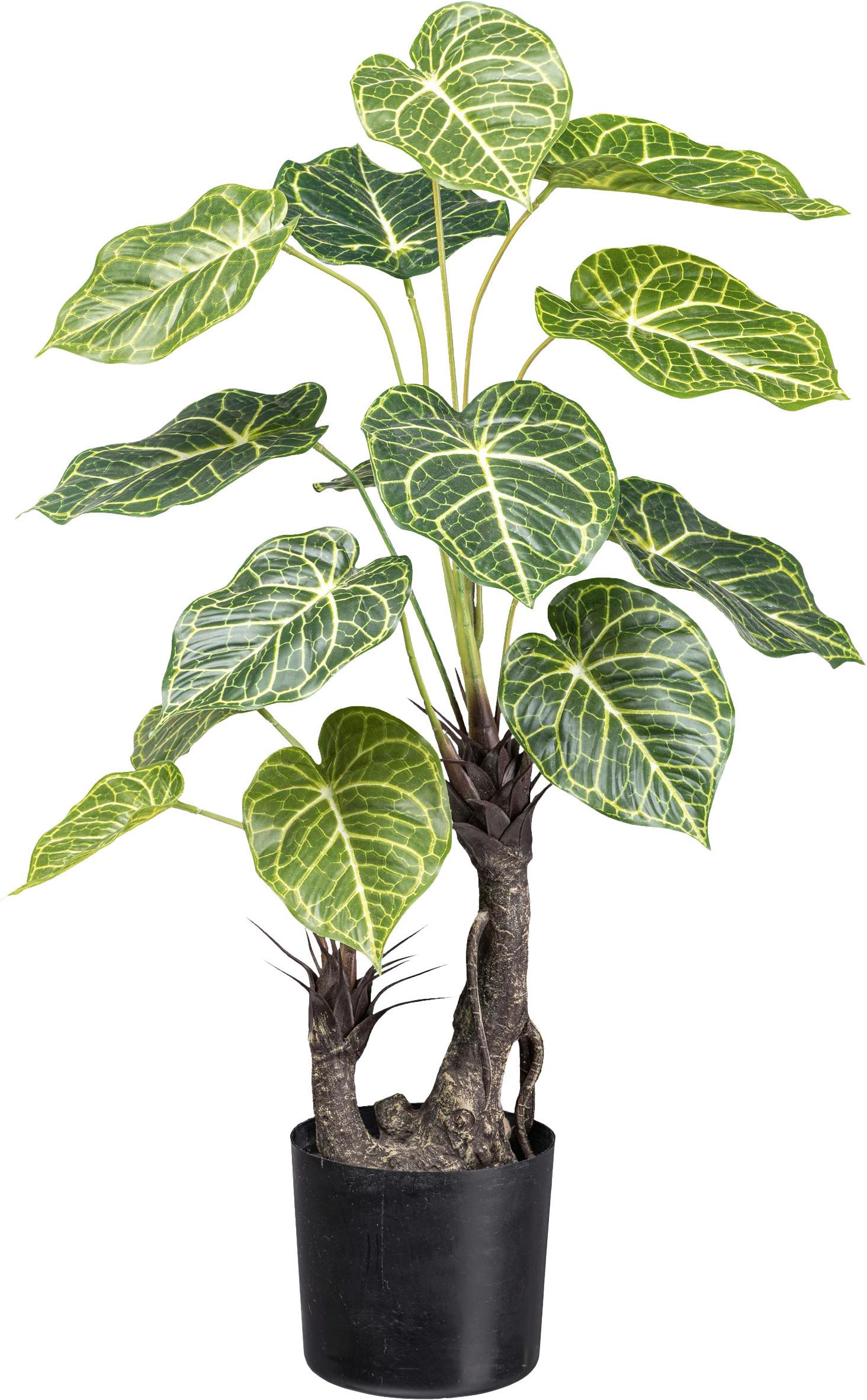 Kunstpflanze Nephthytis H: 70 cm - Schwarz/Braun, Design, Kunststoff