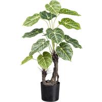 Kunstpflanze Nephthytis H: 70 cm - Schwarz/Braun, Design, Kunststoff