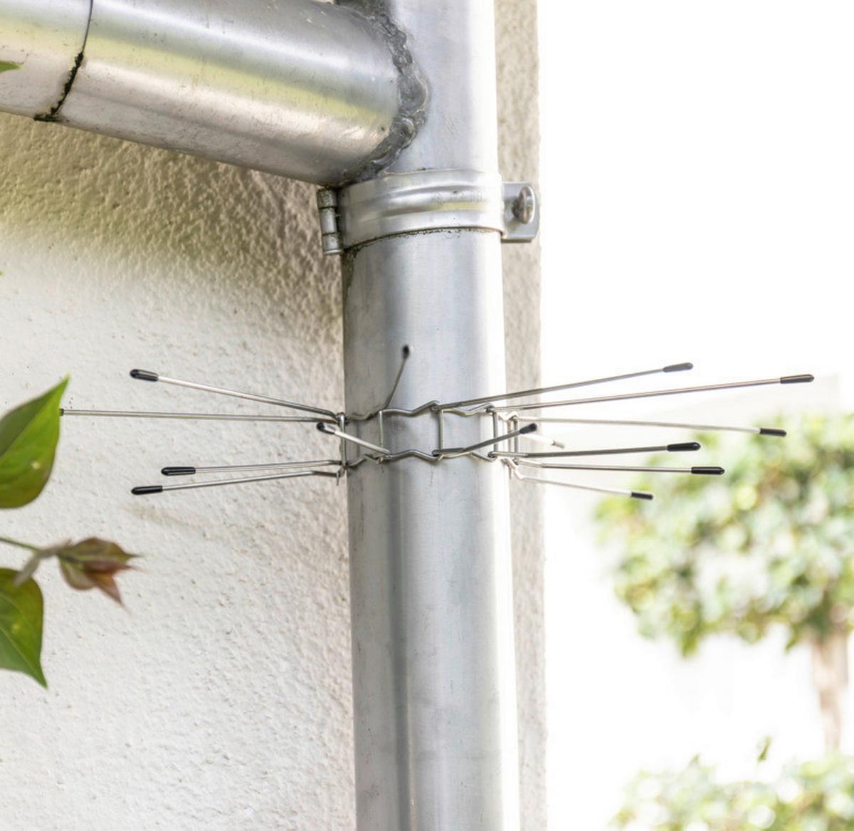 Marder-stopp Marder-Abwehr Fallrohr-Gürtel - Edelstahlfarben, Basics - Windhager