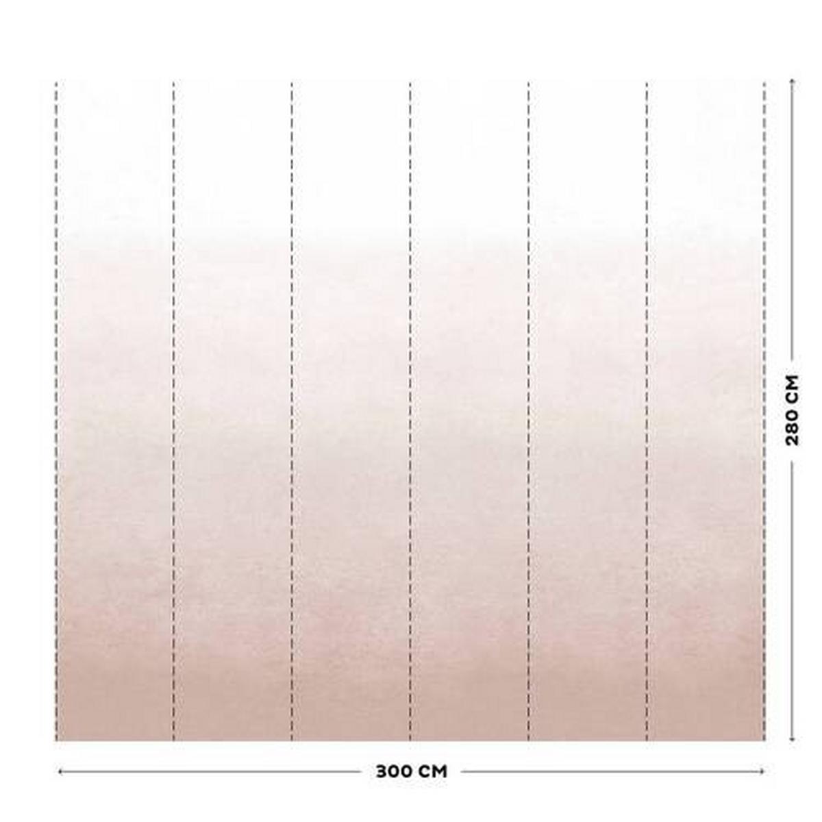 Fototapete Degrade Soft Clay - Rosa, Trend, Papier/Kunststoff (300/300cm)