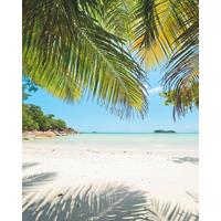 Vliestapete Sh028-Vd2 under The Palmtree - Natur (200/250cm)