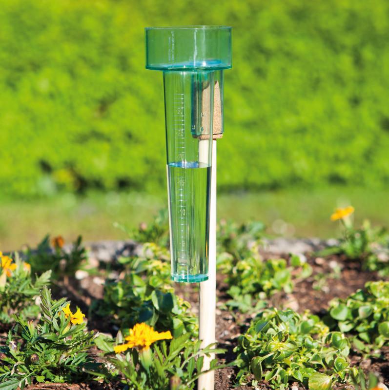 Regenmesser Profi Grün/ Transparent - Transparent/Grün, Basics, Kunststoff (23cm)