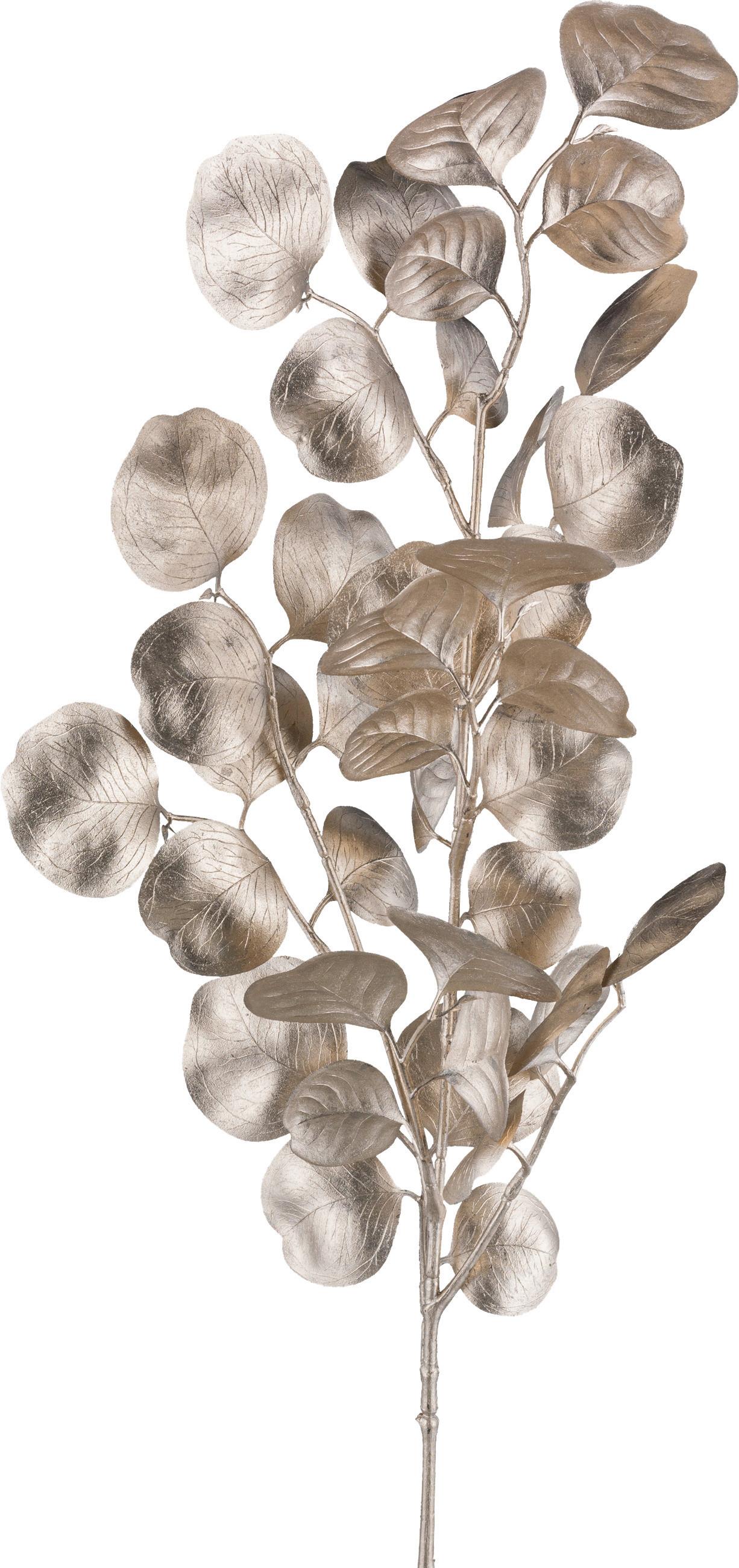 DEKORAČNÍ VĚTVIČKA EUKALYPTUSZWEIG I -PAZ- - šampaňská, Konvenční, plast (77cm) - Modern Living