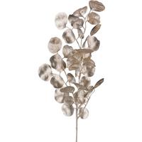DEKORAČNÍ VĚTVIČKA EUKALYPTUSZWEIG I -PAZ- - šampaňská, Konvenční, plast (77cm) - Modern Living