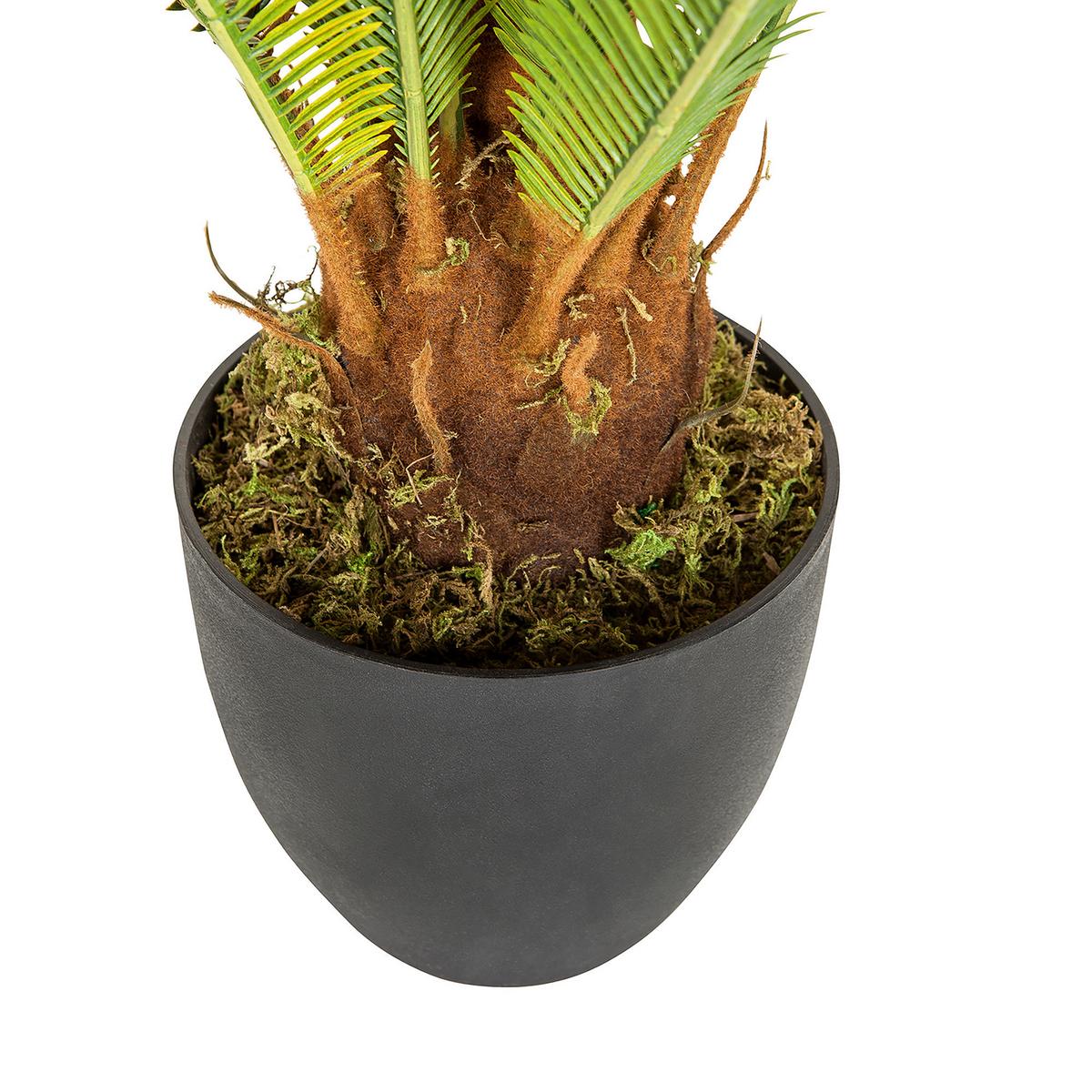 Kunstpflanze Cycas - Schwarz/Grün, Basics, Kunststoff/Textil (70/70/70cm) - MID.YOU