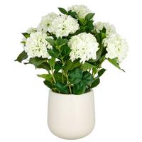 Kunstpflanze Creme Grün B: 25 cm - Creme/Grün, Basics, Kunststoff (25/75/25cm)